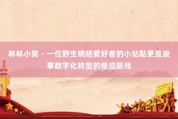 林林小窩 - 一位野生網絡愛好者的小站點更是竣事数字化转型的蹙迫路线